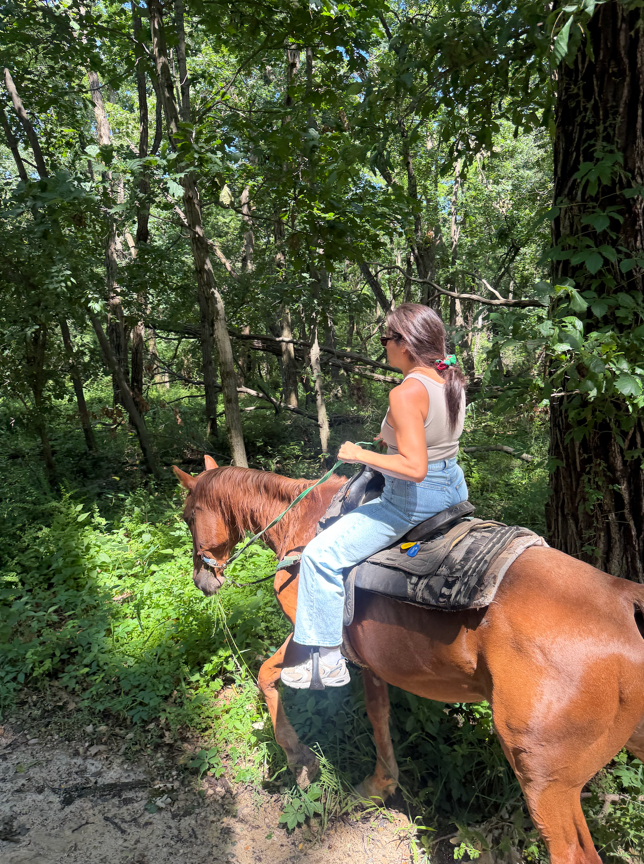 Woman riding a horse through a forest trail