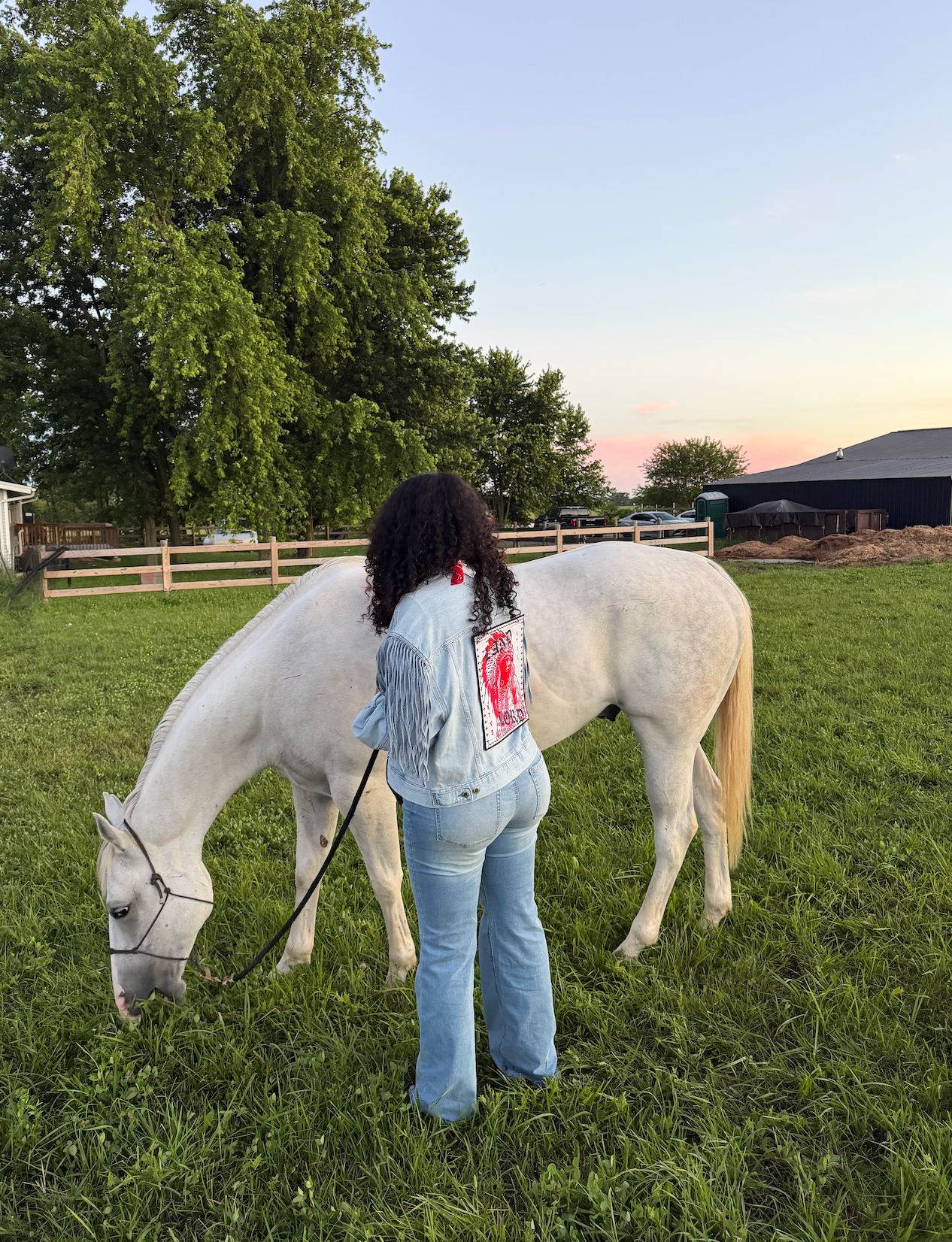 Woman with a white horse at sunset